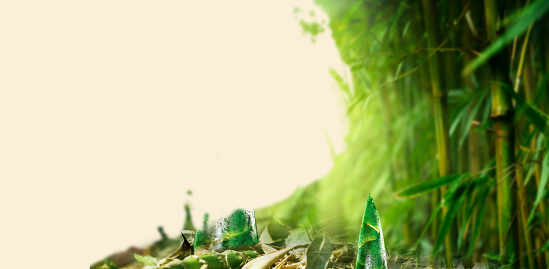 高清绿色竹林风景背景，文艺清新JPG/PSD素材下载
