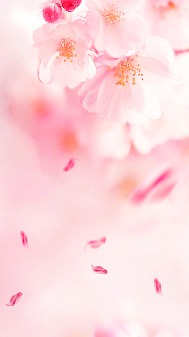 粉色桃花唯美背景图，高清JPG与文艺清新PSD素材下载