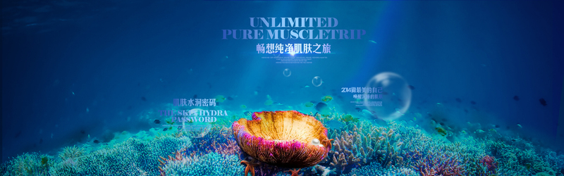 梦幻海底高清JPG，文艺清新PSD设计素材，免费下载