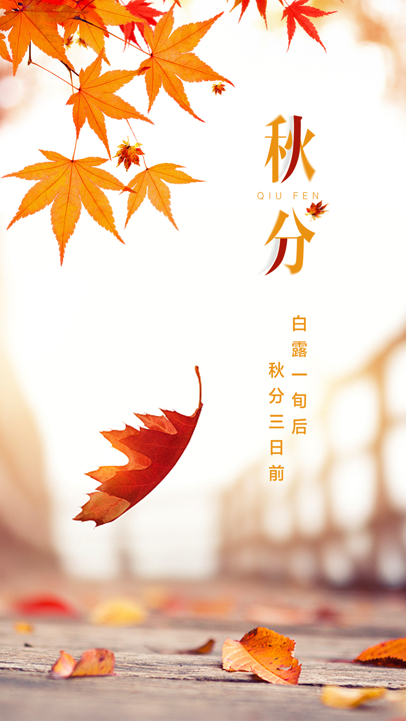 秋分节气落叶美景，文艺清新手机壁纸，高清JPG/PSD格式设计素材下载