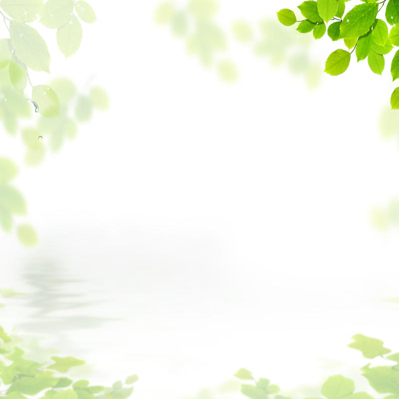 春韵绽放，精选高清JPG与文艺清新PSD春季主题设计素材下载