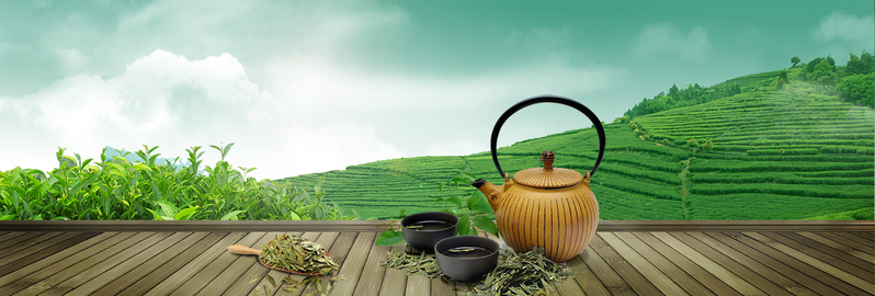 清新绿茶海报背景，高清JPG+PSD设计素材，文艺清新风格下载