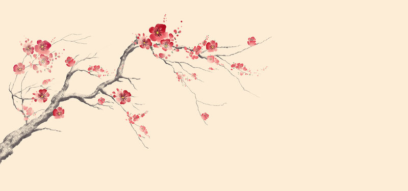 梅花手绘花鸟画，新中式工笔背景高清JPG，文艺清新素材下载