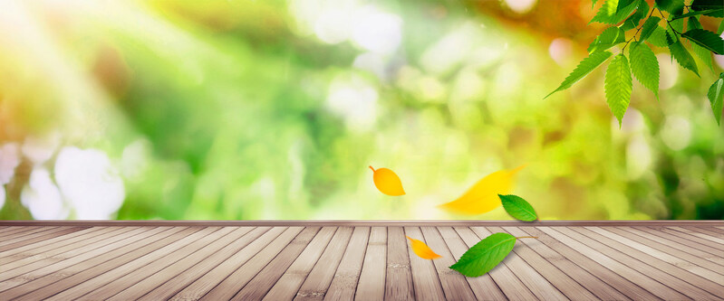 清新文艺绿色植物木板背景图，淘宝高清JPG/PSD设计素材下载