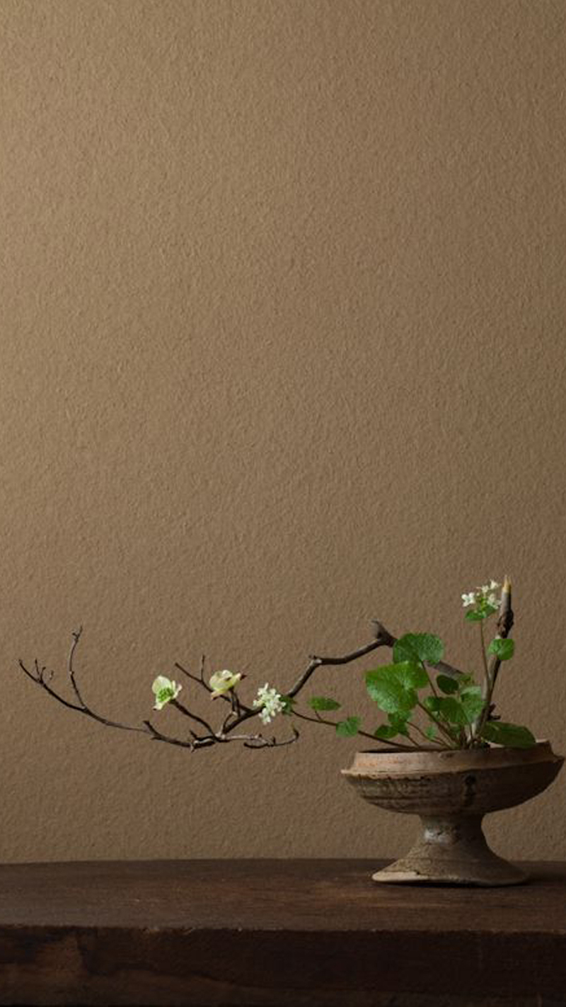 文艺清新H5背景图片，花瓶桌子JPG高清素材，免费下载