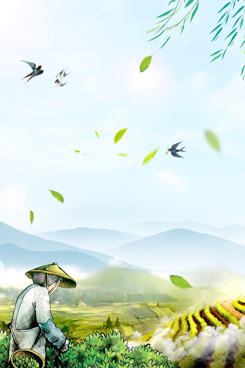 中国茶韵清新简约背景素材，高清JPG与文艺PSD格式下载