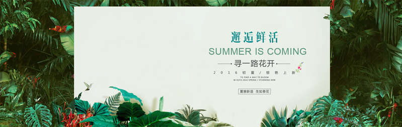 邂逅创意佳作，鲜活高清JPG与文艺清新PSD设计素材下载