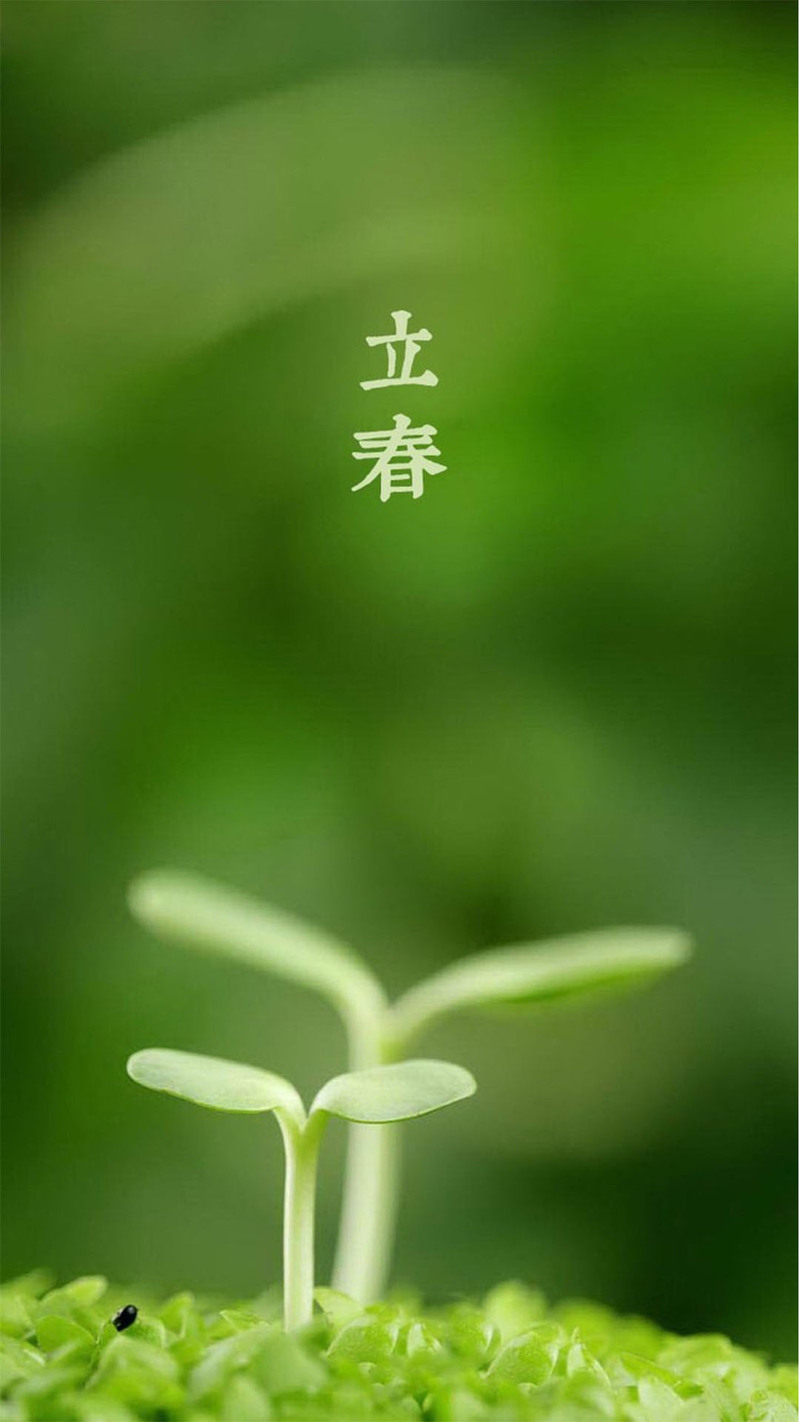 清新文艺H5背景图，绿色新芽高清JPG素材，免费下载