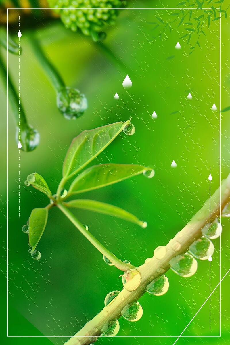 谷雨节气小清新PSD素材，高清JPG图片，文艺清新设计资源下载