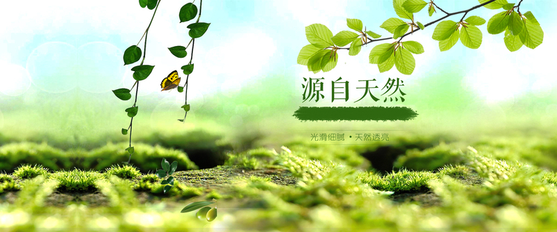 绿色自然背景图片，清新文艺PSD/JPG素材下载