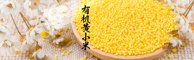 有机小米高清JPG图片，文艺清新风格PSD设计素材下载