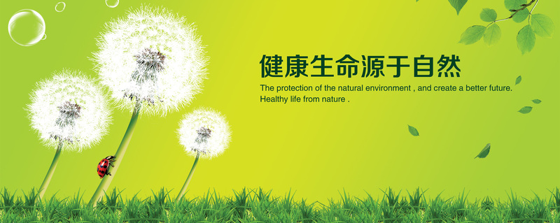 健康养生自然美景图片，文艺清新JPG/PSD格式，高清设计素材免费下载