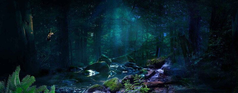 淘宝梦幻森林背景海报，高清JPG/清新PSD设计素材免费下载