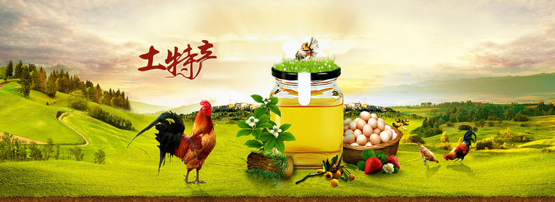 土特产农产品高清背景图，绿色健康，文艺清新，JPG格式素材下载