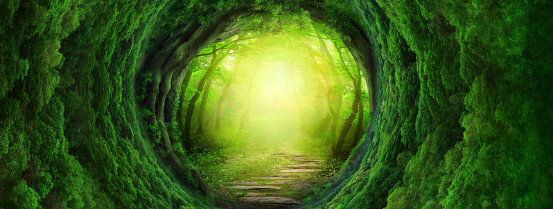 梦幻森林背景图，高清JPG与清新PSD素材，文艺风格设计下载