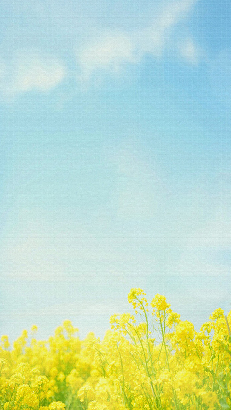 清新春韵，油菜花盛景，唯美JPG广告图，文艺清新设计素材下载