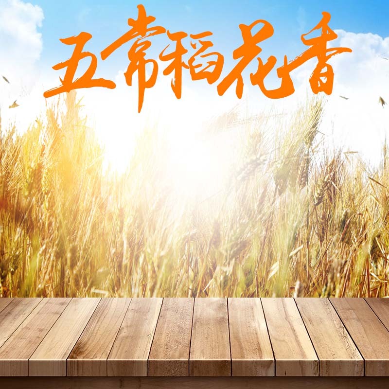 五常稻花香大米促销，唯美文艺PSD设计素材，高清JPG图片下载