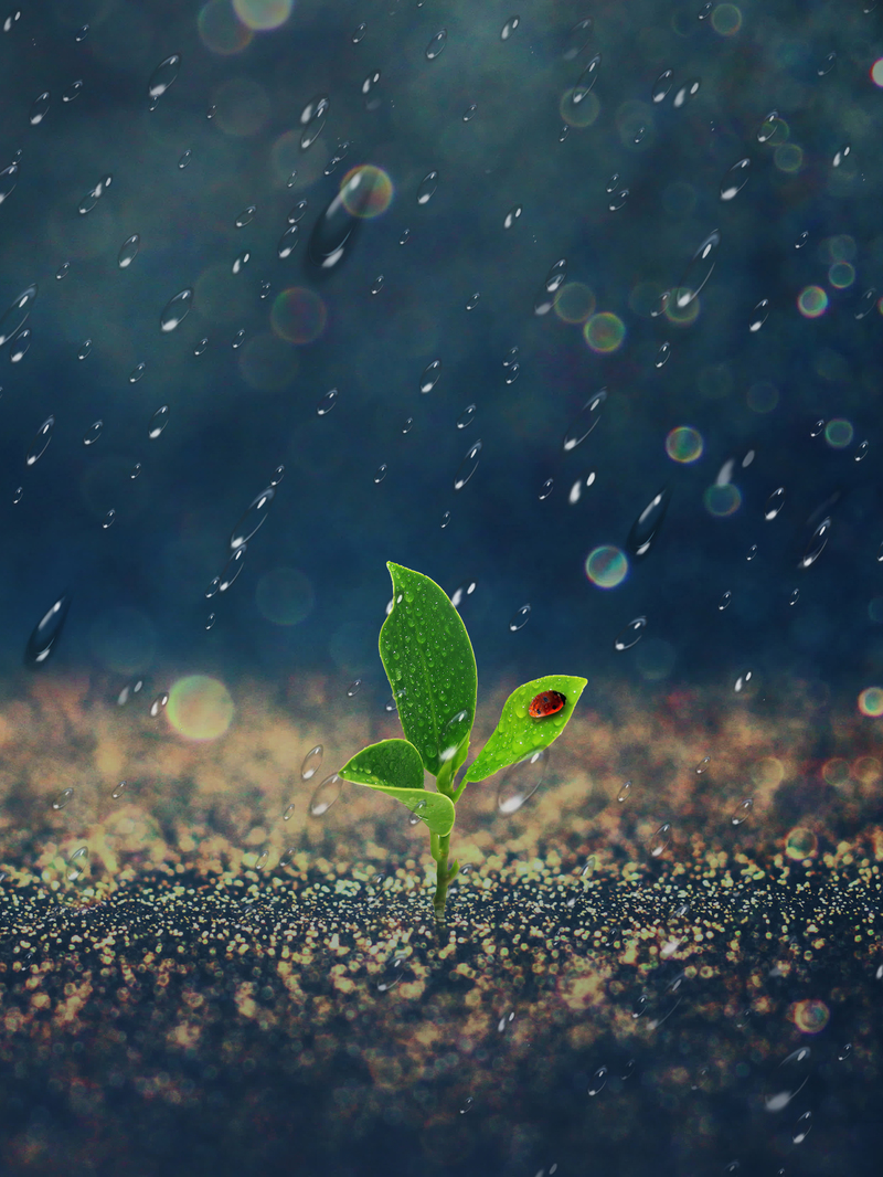 清新雨季海报背景图片下载，文艺JPG与高清PSD格式设计素材