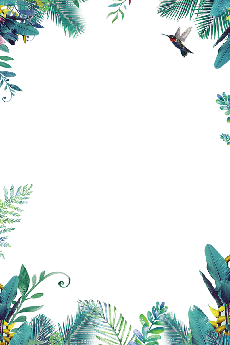 春季花草边框素材，文艺清新JPG/PSD格式高清下载