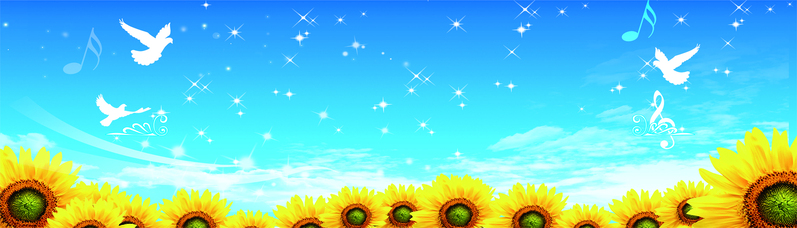 青春活力广告Banner，文艺清新设计素材，高清JPG/PSD格式下载