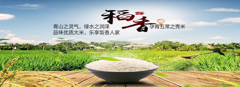 稻花大米绝美高清JPG图片，文艺清新PSD素材下载