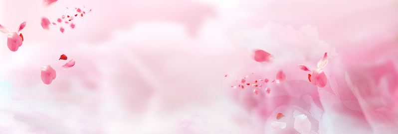 浪漫粉色婚庆婚礼背景图，淘宝banner高清JPG/PSD设计素材下载