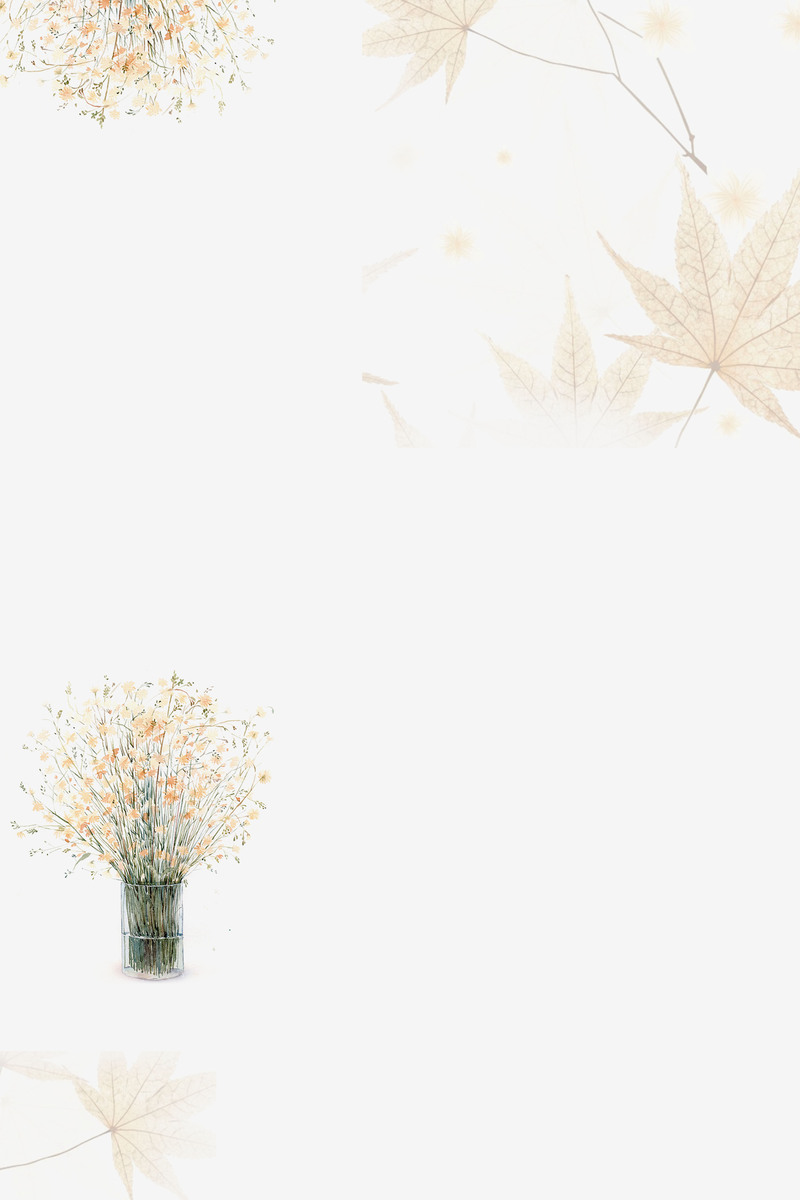 秋季女装促销，精选高清JPG背景，文艺清新PSD素材免费下载