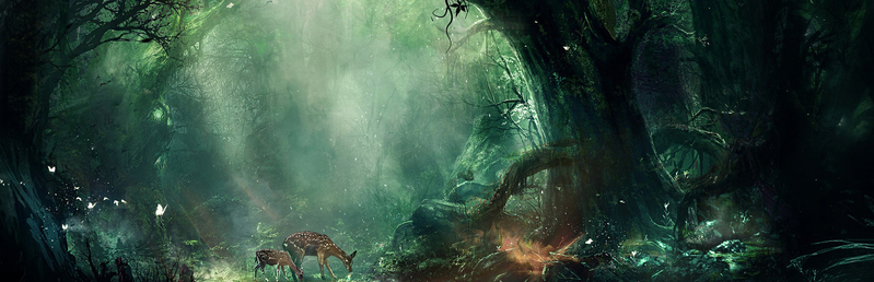 梦幻森林背景，文艺清新JPG图片素材，高清下载