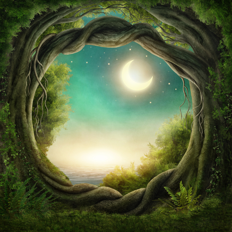 魔幻森林树洞背景图片，高清JPG，文艺清新，设计素材免费下载