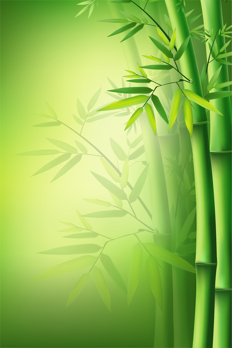 端午佳节，绿色竹子海报背景，清新简约设计素材，高清JPG/AI格式下载