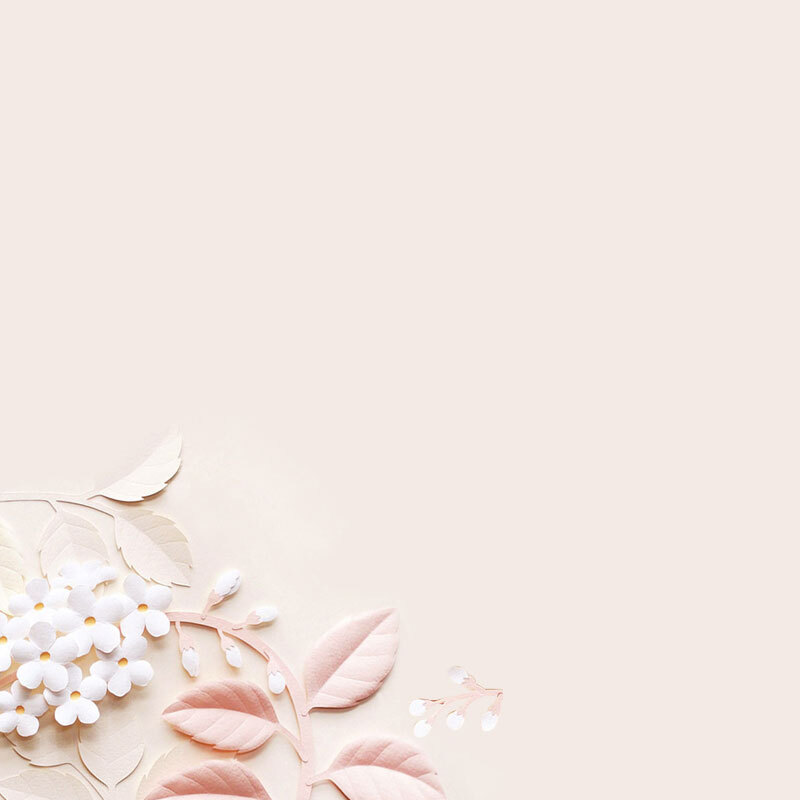 小清新粉色3D花背景图，文艺清新JPG素材，高清下载