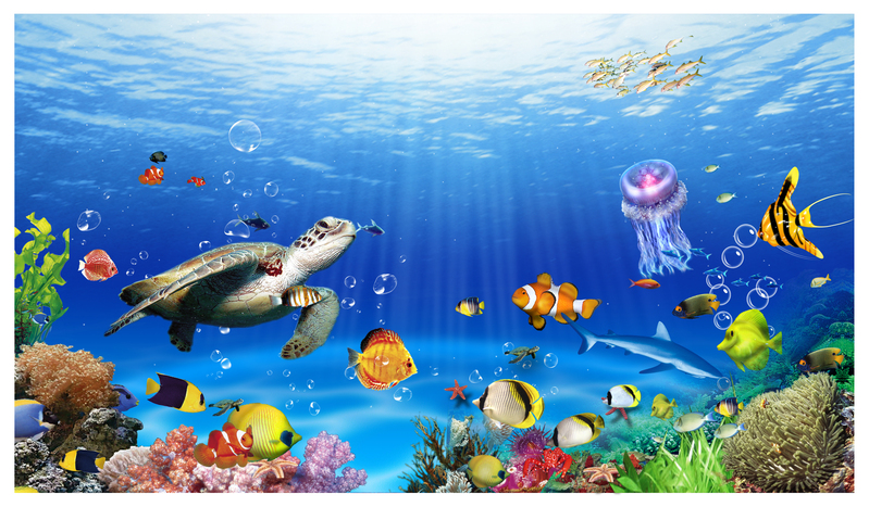 海底世界捕鱼达人创意海报背景，文艺清新JPG/PSD高清素材下载