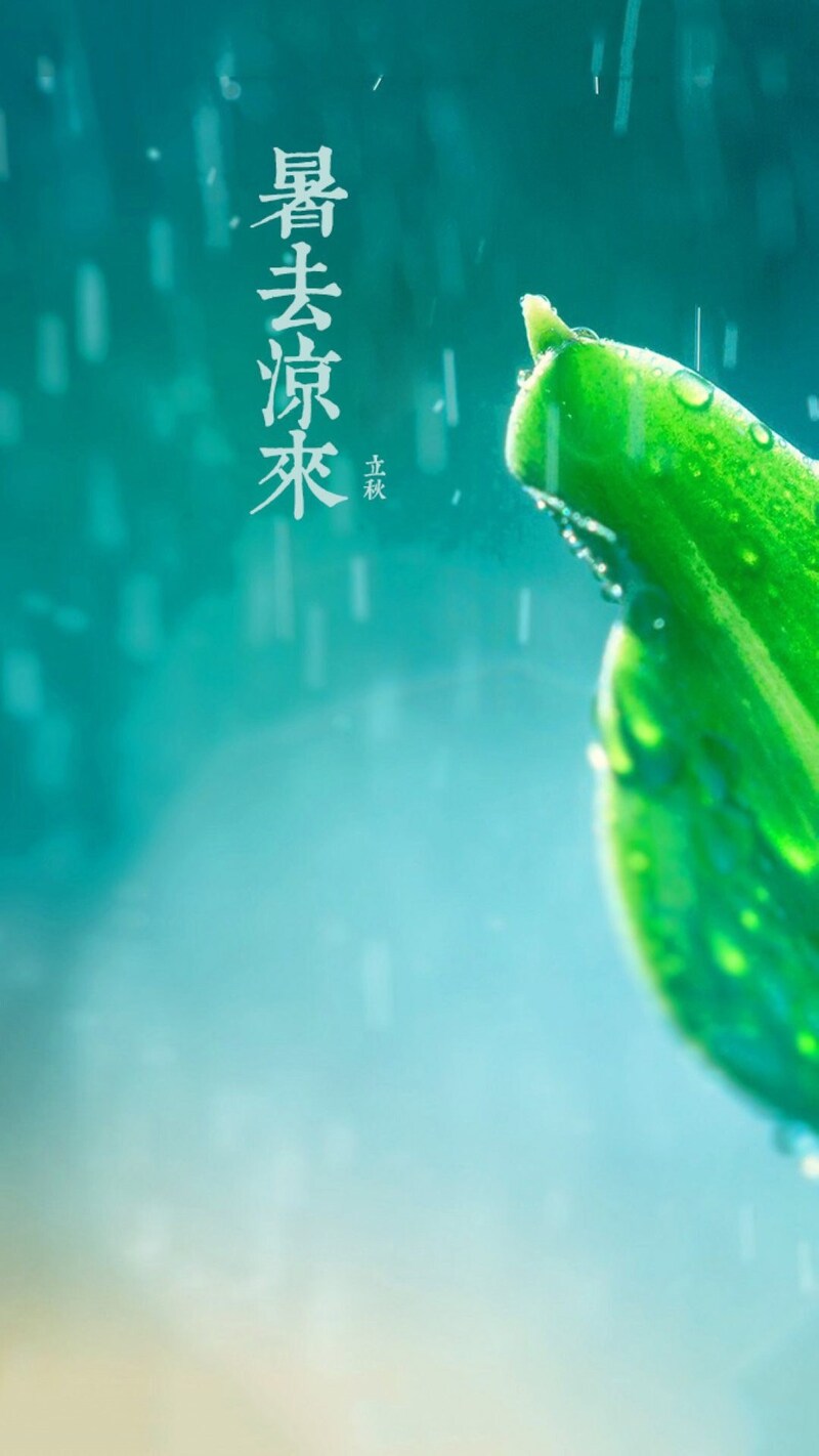 小清新节气H5背景图，文艺清新JPG素材，高清下载