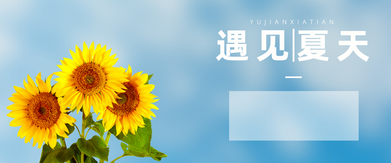 向日葵夏日风情，简约小清新JPG/PSD设计素材，高清文艺下载