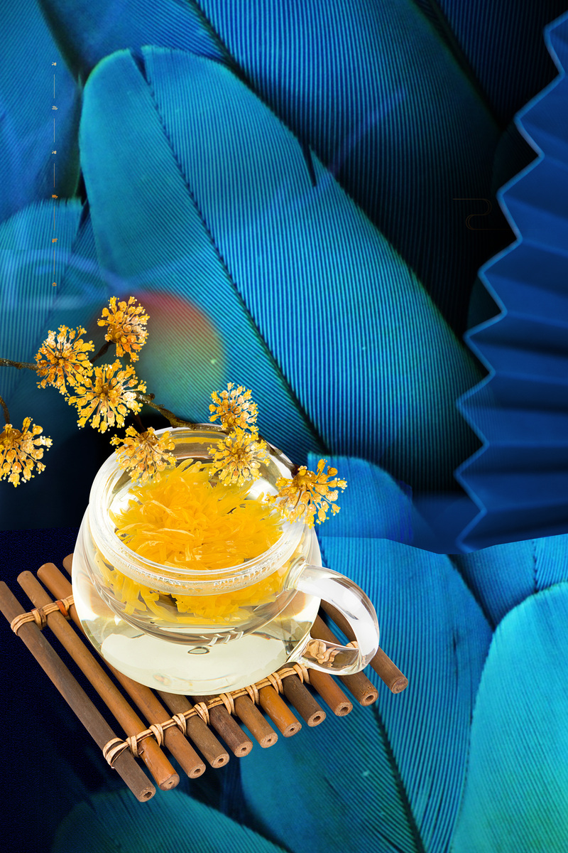 摄影创意背景图，高清JPG&PSD设计素材，文艺清新风，免费下载