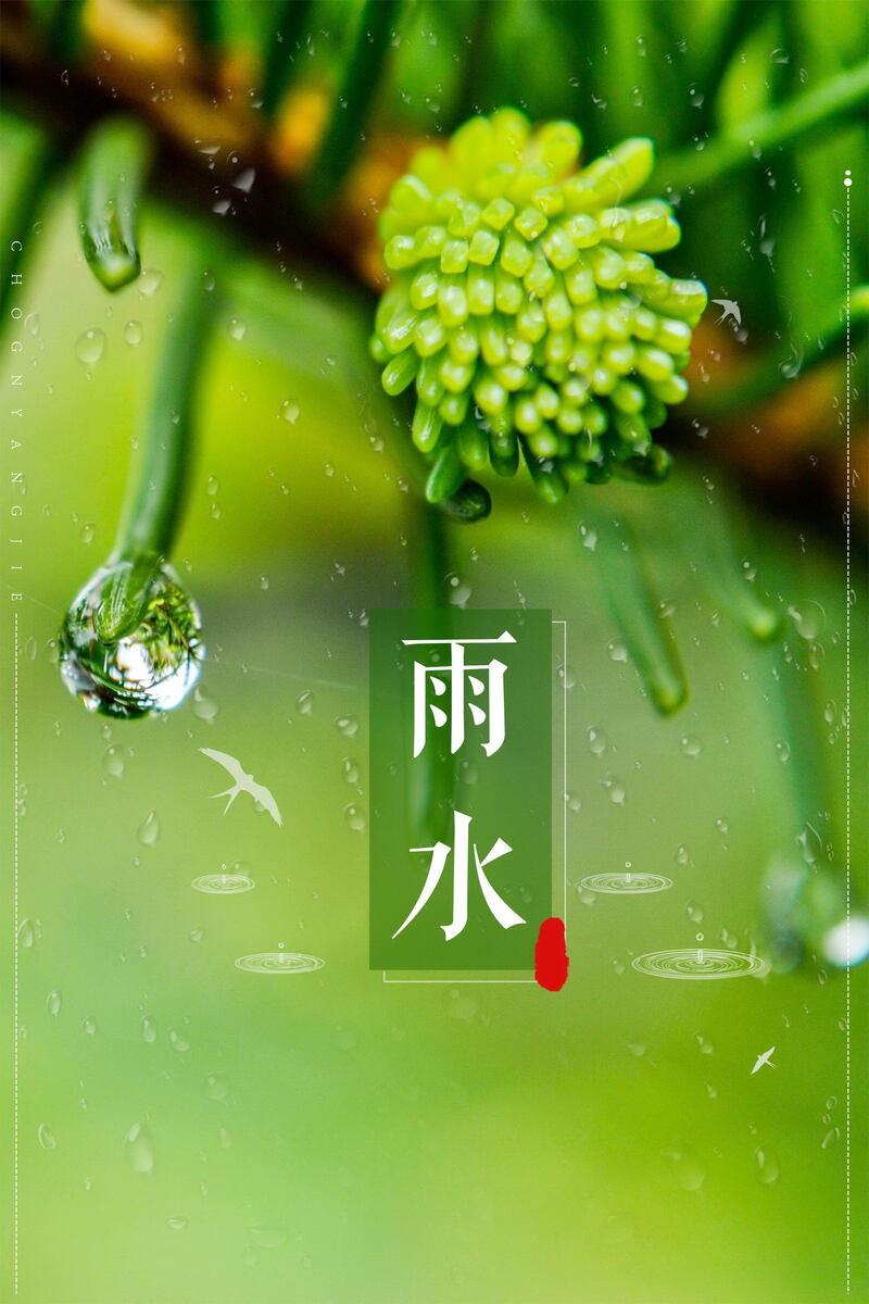 高清雨水节气背景模板，文艺清新JPG/PSD素材，免费下载
