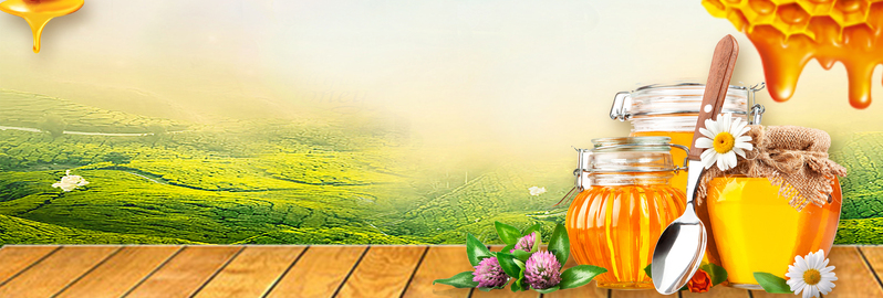清新文艺风蜜蜂蜂巢电商banner，高清JPG/PSD格式设计素材下载