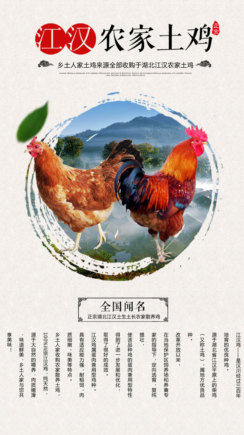 农家跑山鸡H5背景图，文艺清新JPG/PSD高清素材，免费下载