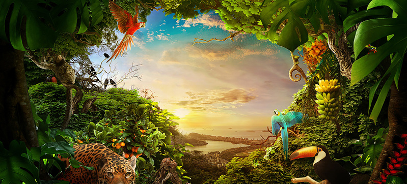 梦幻森林背景图，高清JPG，文艺清新设计素材，免费下载