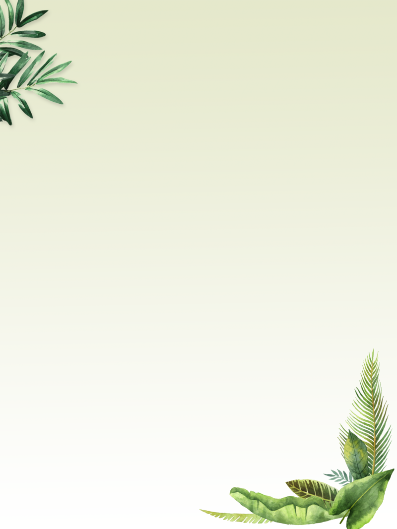 清新简约绿叶背景图，高清JPG与文艺PSD设计素材下载
