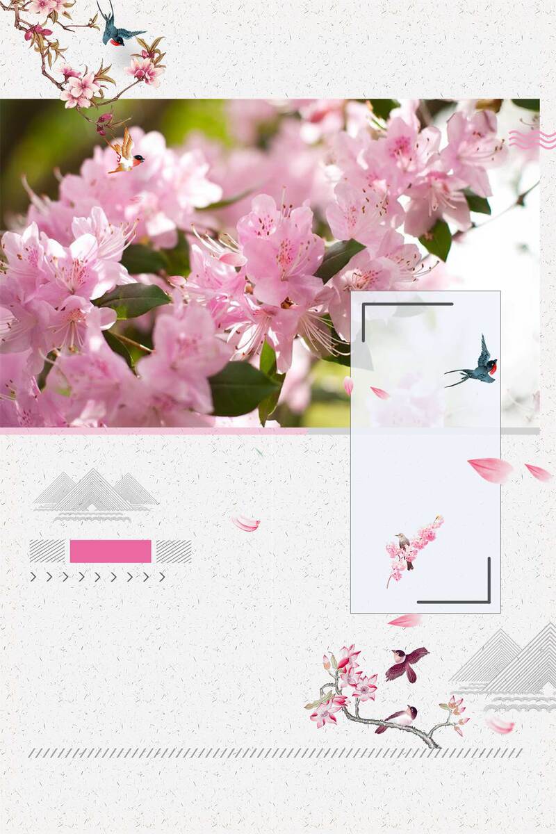 醉美樱花季，唯美春景旅游高清图集，文艺清新PSD素材下载