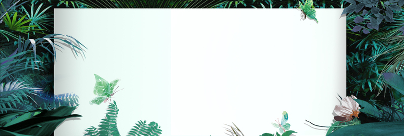 夏日绿意盎然，清新Banner设计素材下载（高清JPG/PSD）