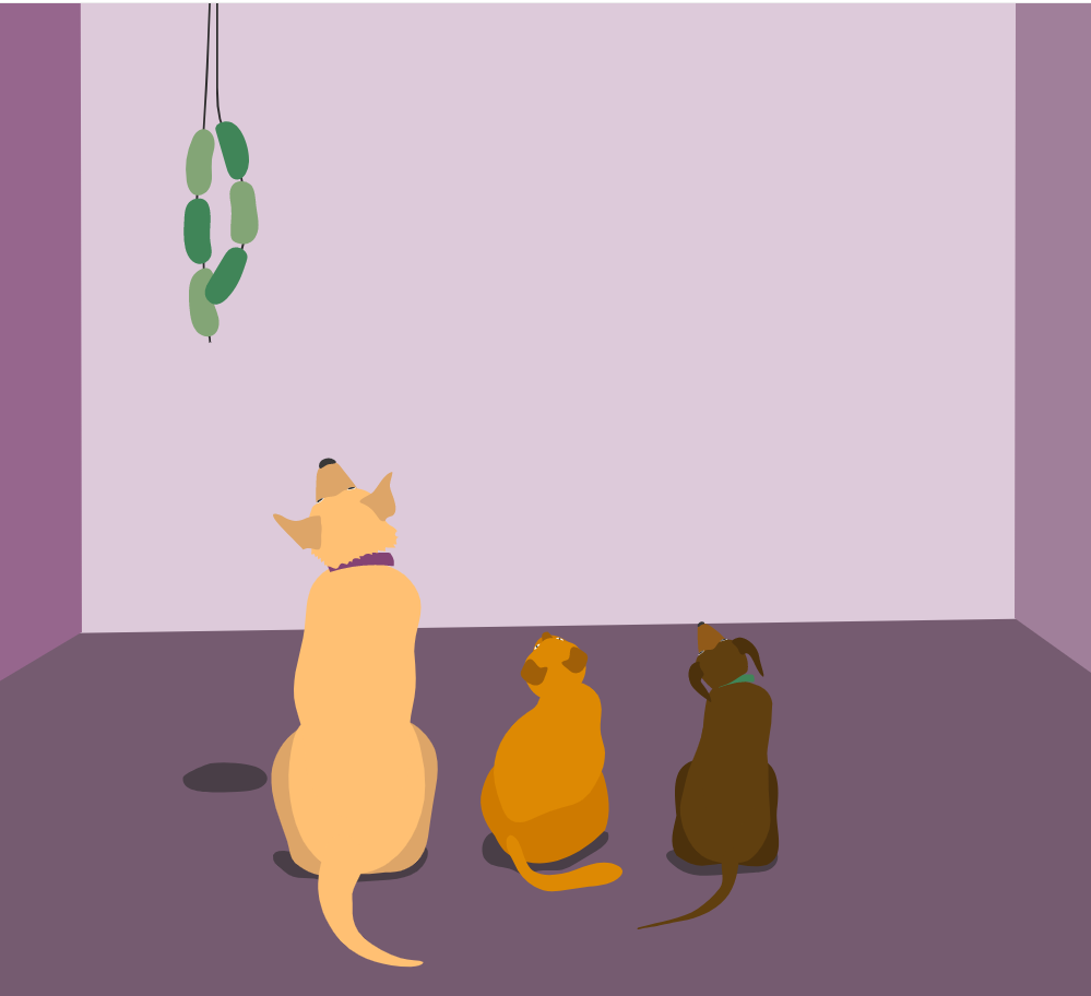 双十一适用的两只猫和一只狗的背影动画特效