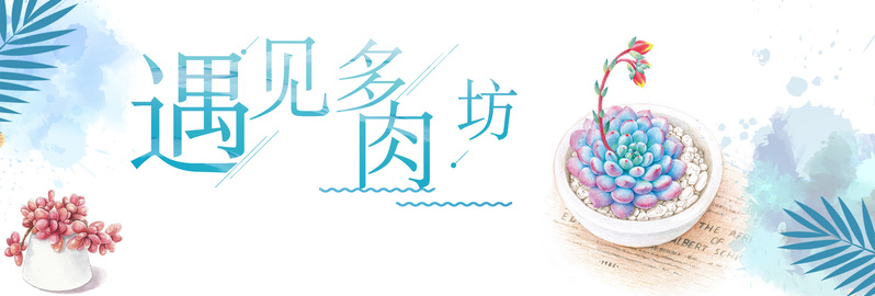 手绘多肉植物，清新文艺Banner设计素材，JPG/PSD格式高清下载