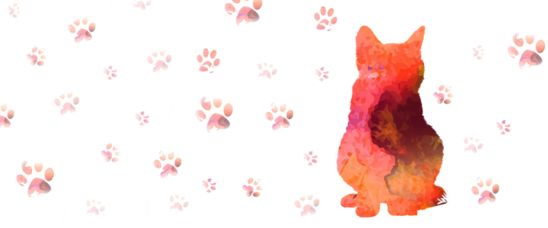 高清猫咪手绘JPG/PSD素材，白色Banner卡通设计图下载