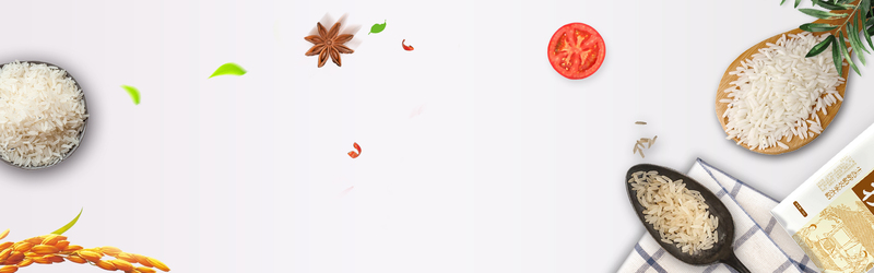 稻谷简约风清新白底banner设计素材，高清JPG+手绘PSD下载