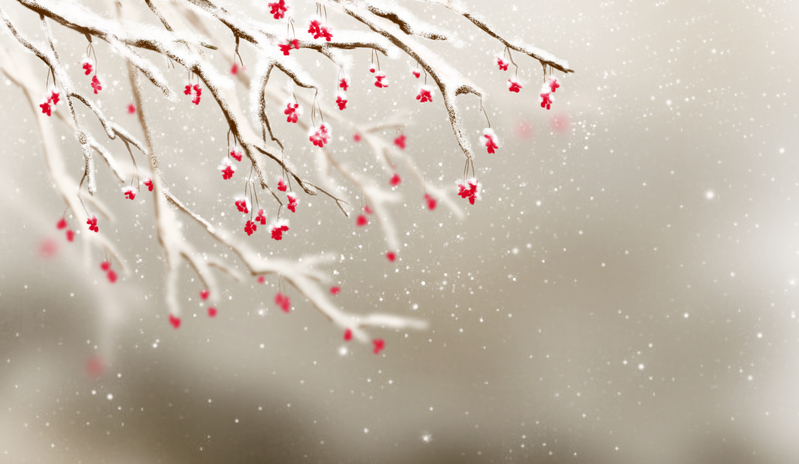 立冬雪景插画素材，高清JPG与手绘PSD格式，卡通风格大雪图片下载