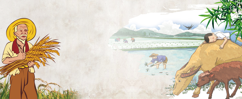 五常大米，童趣卡通动画Banner，高清JPG/PSD设计素材下载