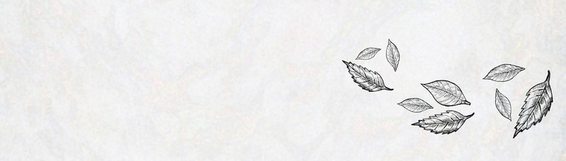 素描树叶背景图，高清JPG卡通手绘素材，免费下载
