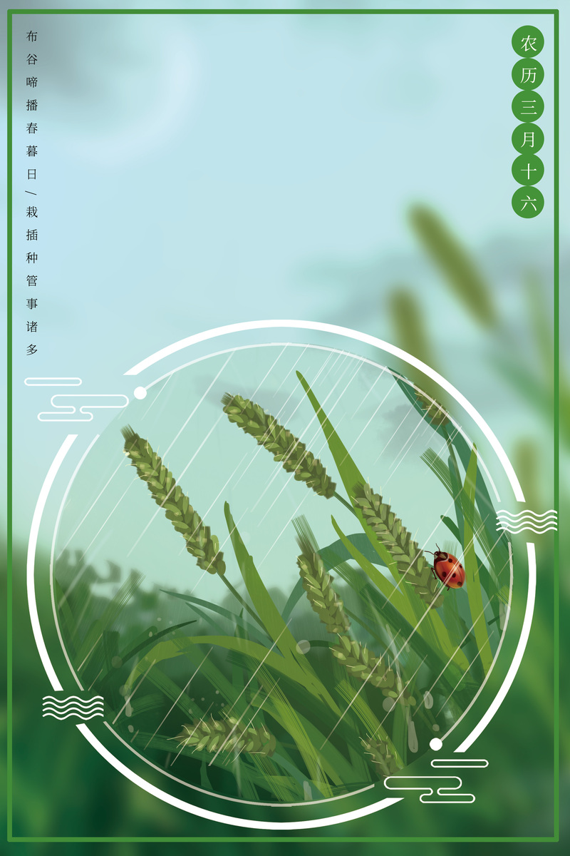春季雨天小麦高清图集，卡通手绘JPG/PSD设计素材免费下载